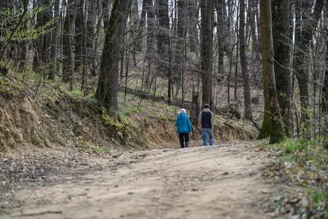 Two people walk on a forest path. Stock Photos