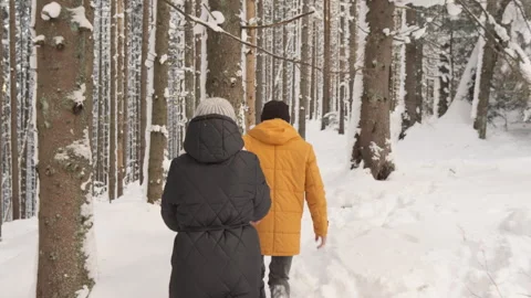 Two people walk through a snowy forest, one wearing a black coat and the other a Stock Footage 341044087