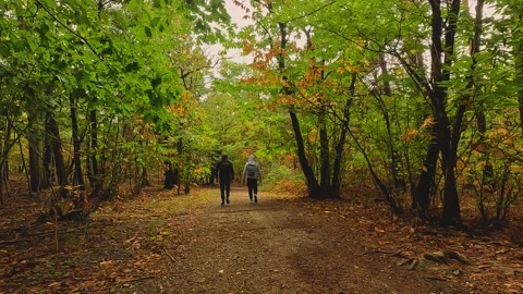 Two people walk in the woods Stock Footage 218615083