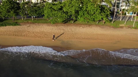 Two People Walking Along The Coastline, On A Sandy Beach Stock Footage 239574812