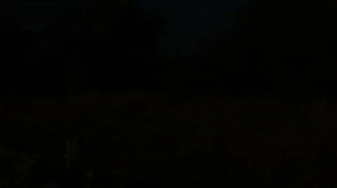 Two People Walking and Talking on Field  Video stock 570144