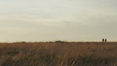 Two people walking of in the background during sunset Stock-Footage 151079698