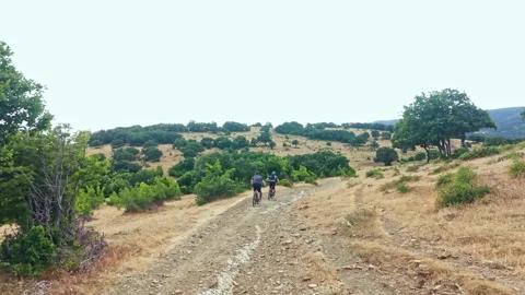 Two people walking on a dirt path through a grassy field with trees and hills at Stock Footage 341376180