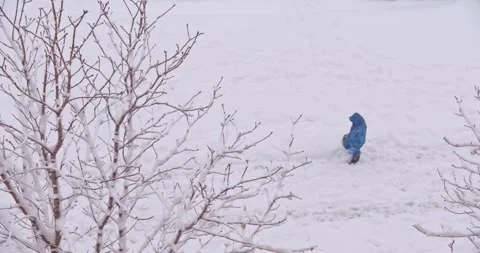 Two people walking during blizzard - Madrid Video stock 146411258
