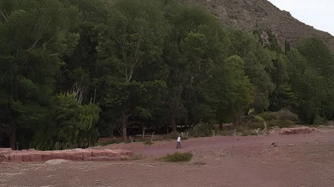 Two people walking on a dusty road next to a green forest Vidéo 332872243