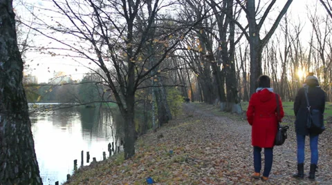 Two people walking in the park Stock Footage 39578525