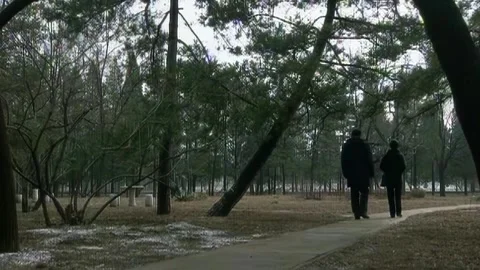 Two people walking in the park in winter Stock Footage 253773769