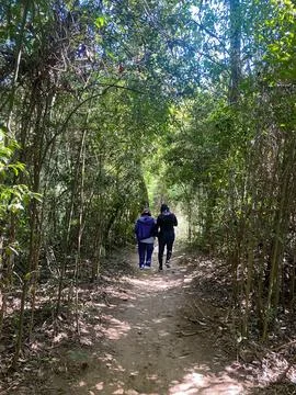 Two people walking on a path in the forest Stock Photos