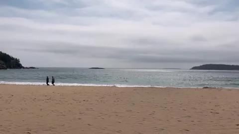 Two people walking slowly along beautiful sand beach at Acadia national par.. Stock Footage 337441105