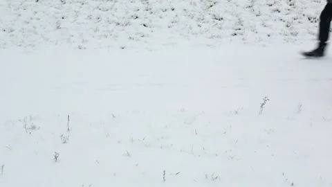 Two people walking a small dog, running merrily ahead of everyone in the snow. Stock Footage 164452478