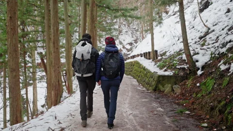Two People Walking Through the Woods Stock Footage 242025285