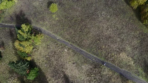 Two people walking on a trail through the taiga Video stock 147036324