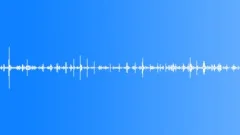 Two People Walking In WoodlandSound Effect