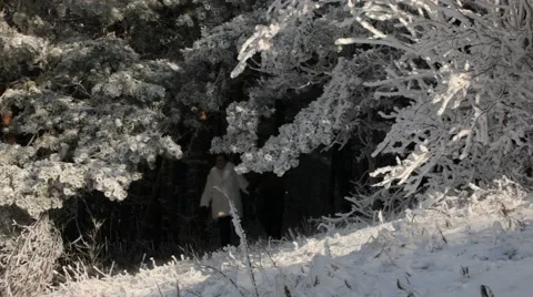 Two People Walking In The Woods Video stock 52720518