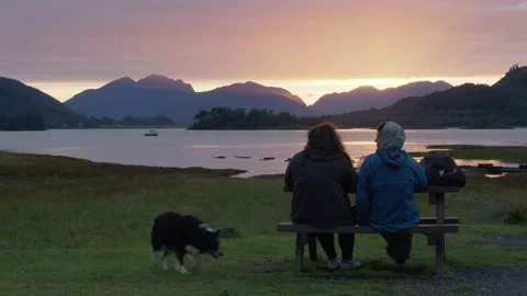 Two people watching the sunset over dinner and a dog walks by Stock Footage 219511305