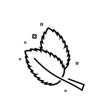 Two peppermint spearmint mint or mentha leaves line art vector icon for apps Stock Illustration