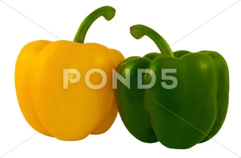 Two peppers Stock Photos