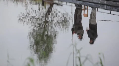 Two perch Video stock 49138987