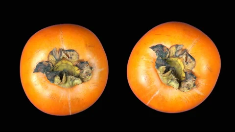 The two persimmon fruits rotate in different directions. Isolated on black backg Stock Footage 119634052