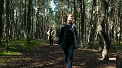 Two person: guy with girlfriend spending time in the autumn woodland. Hike style Stock Footage 199492896
