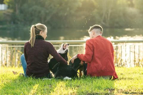 Two person sitting on a park while playing with dogs during sunset Stock Photos