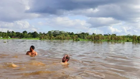 Two person swimming in the Amazon River Stock Footage 320655763