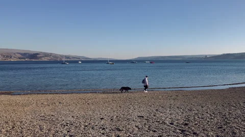 Two persons with black dog walking along beach, yachts on water on horizon. Stock Footage 233355504