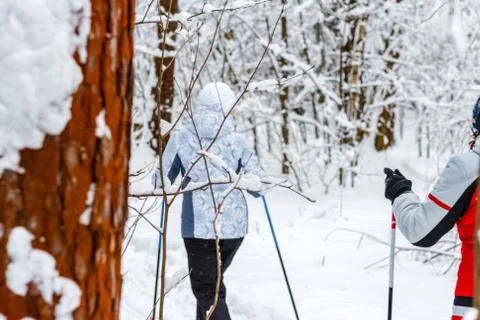Two persons ski in the winter forest Stock Photos