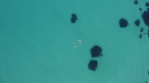 Two persons swims in sea with clean blue water and reefs, aerial top down view Stock Footage 153519306