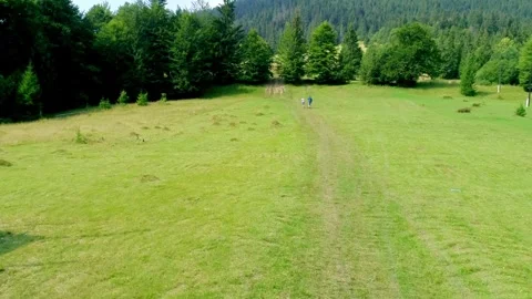 Two persons walking on wide green field Stock Footage 319285818