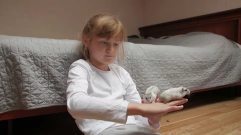 Two Pets On Hands Stock Footage 141842431