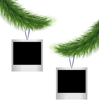 Two photoframes on pine branches Stock Illustration