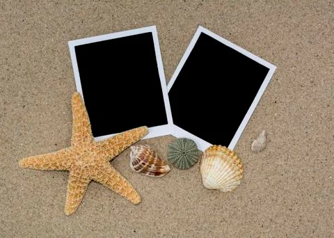 Two photos on the beach sand with shells and starfish Stock Photos