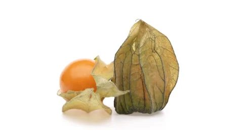 Two physalis fruits with open and closed calix rotating. Isolated on white Vídeo Stock 166222280