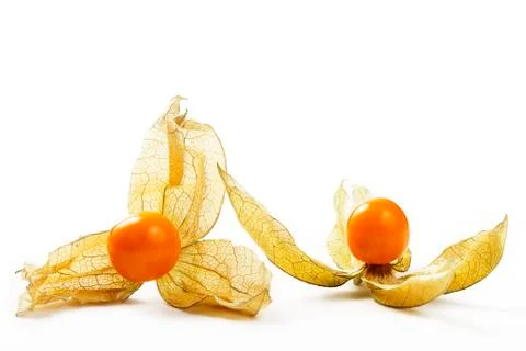 Two physalis Foto stock