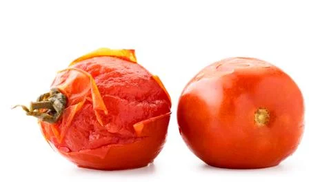 Two pickled tomatoes on a white background. Isolated Stock Photos
