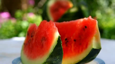 Two piece of watermelon in plate 库存影片 11492746