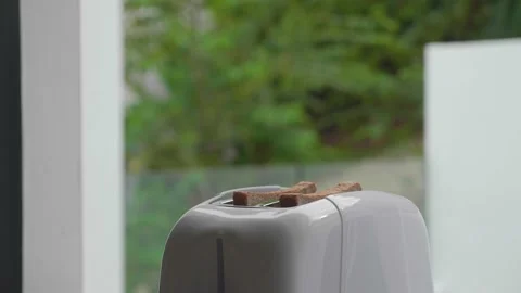Two pieces of dark bread in toaster slots Stock Footage 171379347