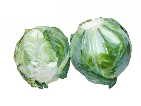 Two pieces of fresh cabbage isolated on white background 库存照片