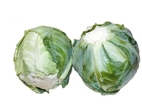 Two pieces of fresh cabbage isolated on white background Fotos de archivo