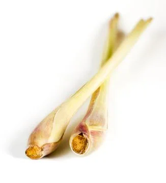 Two pieces of lemon grass Stock Photos