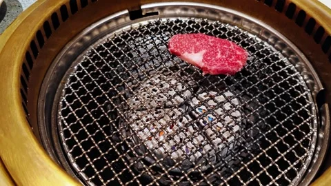 Two pieces of marbled Wagyu beef are grilled on a grill Stock Footage 345111357