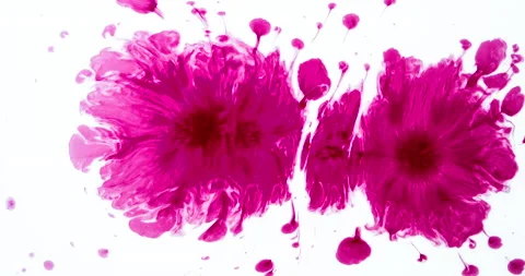 Two pieces of purple ink drop on water Stock Footage