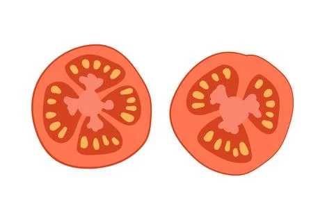 Two pieces of tomato. Overhead view of isolated red colour tomato. Vector Stock Illustration