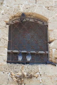 Two pigeon sitting on a ledge of an old closed window Stock Photos