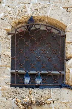 Two pigeon sitting on a ledge of an old closed window Foto stock