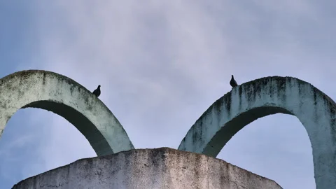 Two pigeons on iron structure made of concrete. Pigeons sit on an elevation Stock Footage 273608655