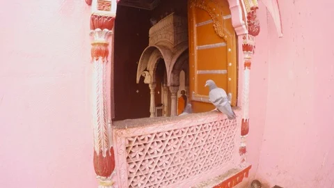 Two pigeons seat on marble window in hindus temple mouse on little altar  Stock Footage 90771832