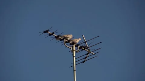 Two pigeons on TV aerial, one flies off (100fps conf to 25fps) Soligor 400mm Stock Footage 244708596