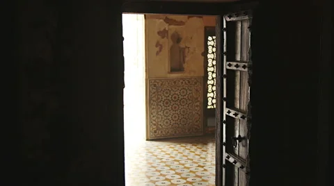 Two pigeons wander through hallway, old wooden door stands open Stock Footage 51268252
